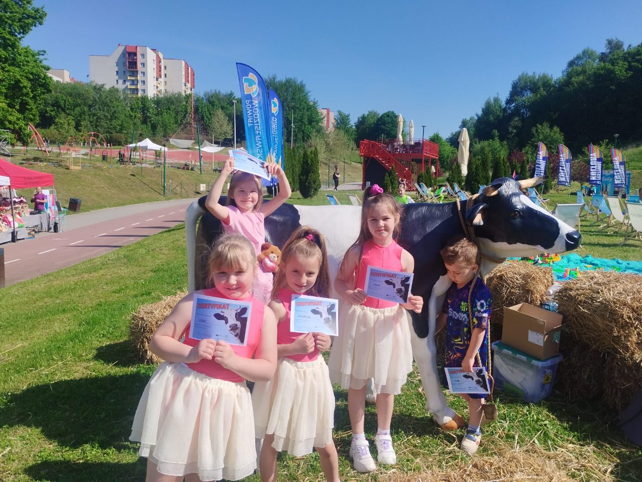 Powiatowy Festiwal Kultury - zdjęcie 5