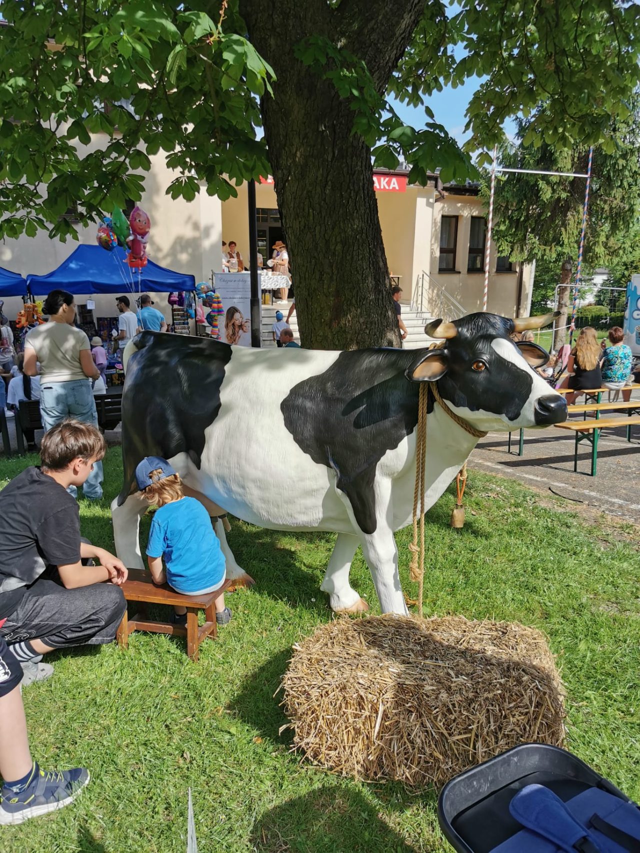 Dzień Dziecka w stylu "Western piknik" w Sołectwie Bzie - zdjęcie 16