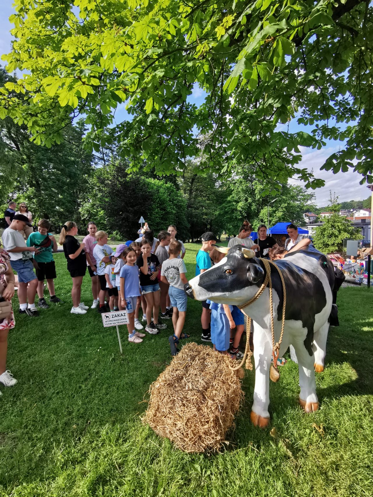 Dzień Dziecka w stylu "Western piknik" w Sołectwie Bzie - zdjęcie 12