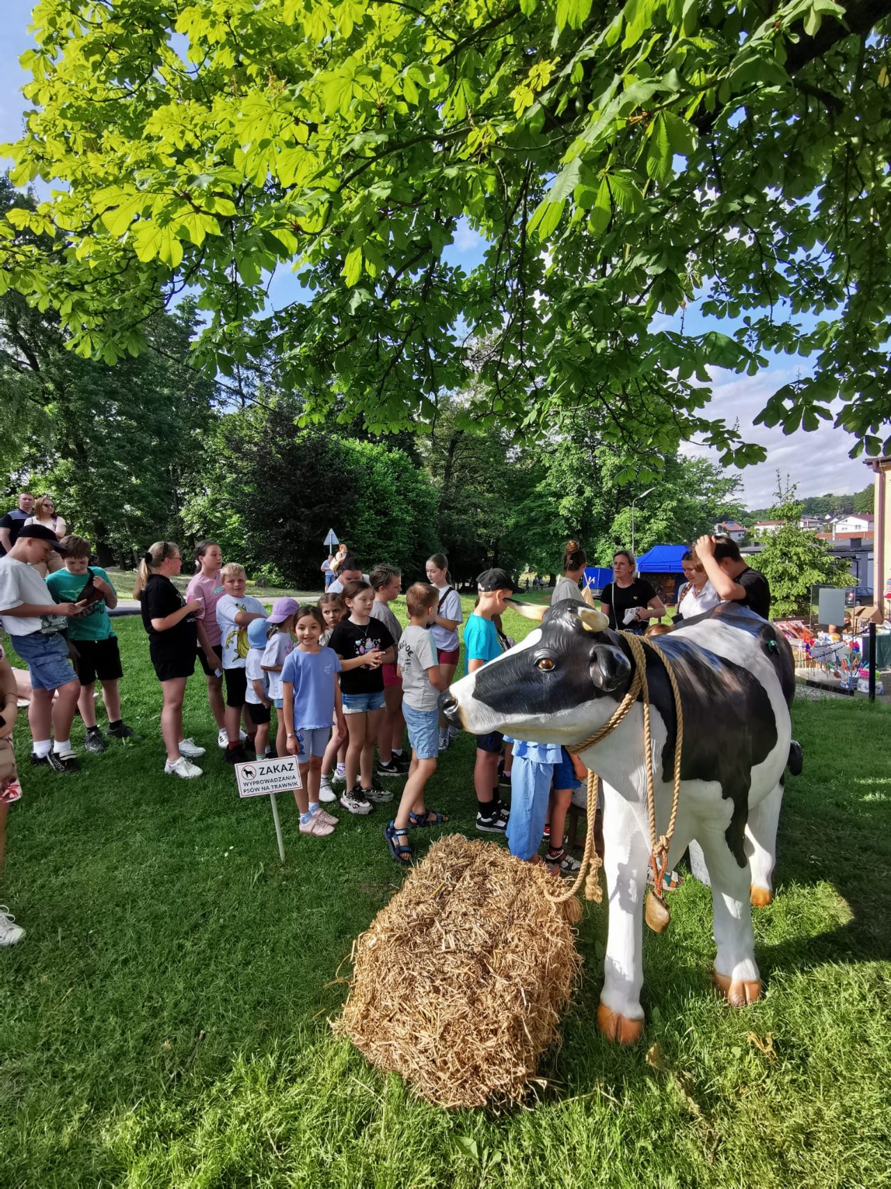 Dzień Dziecka w stylu "Western piknik" w Sołectwie Bzie - zdjęcie 14