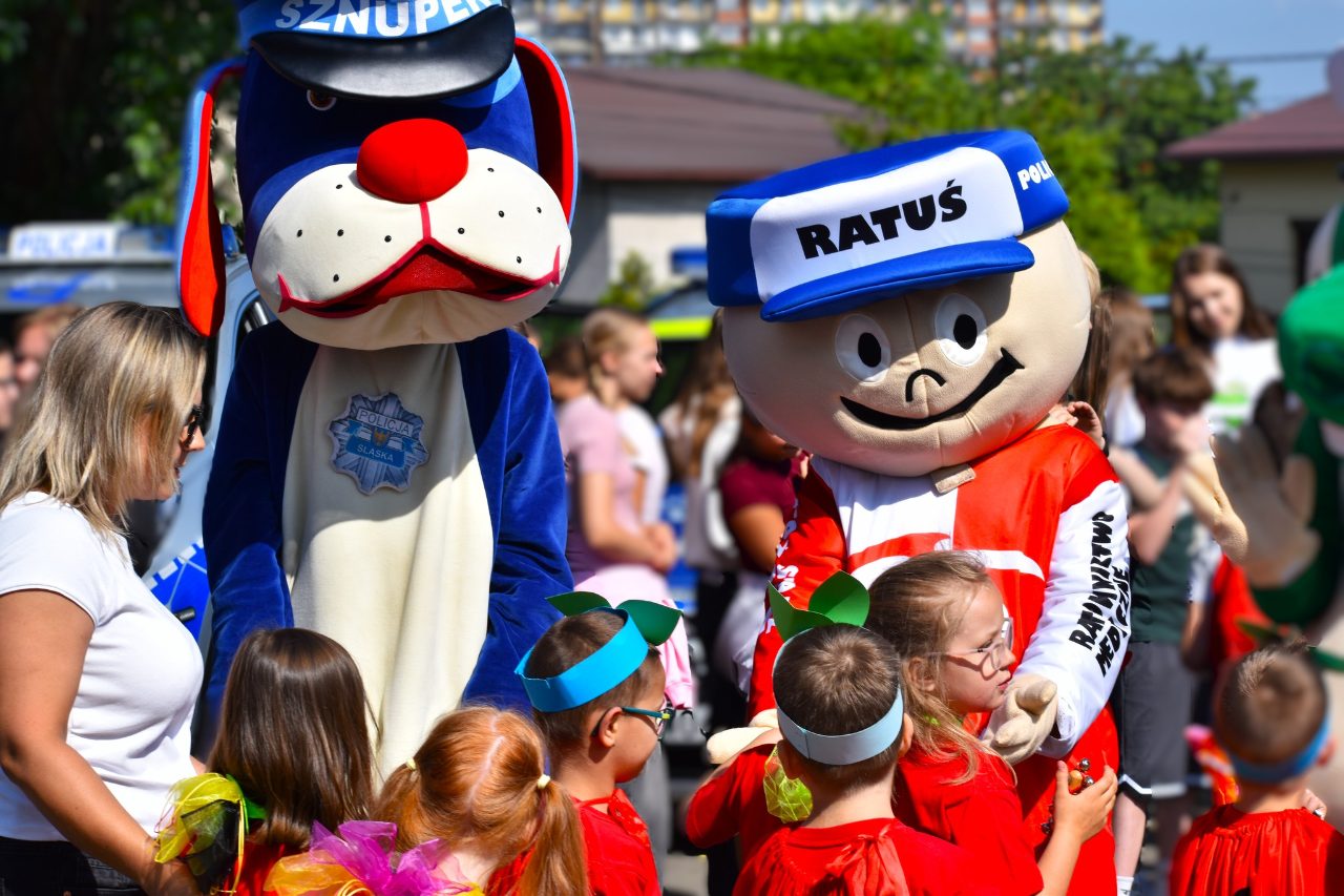 V Piknik Bezpieczeństwa w Radlinie - zdjęcie 5